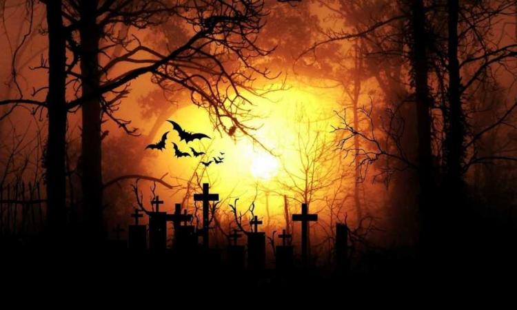 Житель Севастополя схоронил добычу на кладбище
